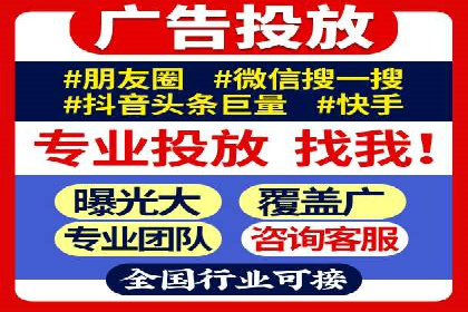 SEO百度推广策略：成功案例解析